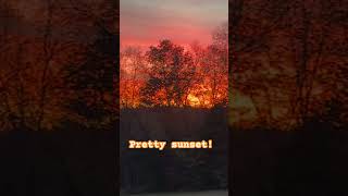 #ytshorts #nature #sunset #vlog