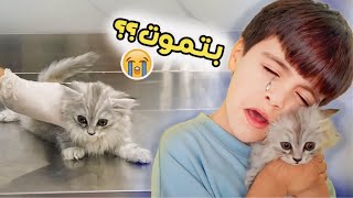 تجهيزات غرفه إيلان 🛏️ مرضت القطة الجديدة واخدناها المستشفى  *ايلان صار يبكي *