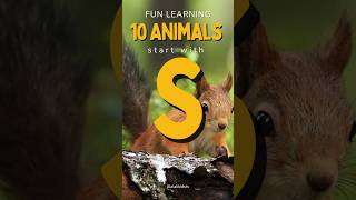 10 Striking Animals Starting with 'S'! #shortsanimalsvideos