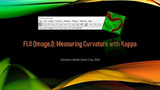 FIJI (ImageJ): Measuring Curvature with Kappa