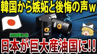 「お隣さんがまた領土を主張したね！ 」日本海で石油発見、2028年に日本が巨大産油国に！【海外の反応】【ゆっくり解説】