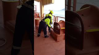 working with tug #merchantnavy #containership #tugboat #lifeatsea #trending #youtubeshorts #navy