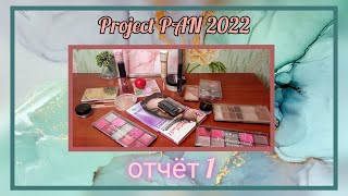 Project PAN 2022 // 1 отчёт