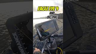 Lowrance Eagle Eye 9 and Big Pike. #lowranceeagleeye #lowrance #pikefishing  #fishing