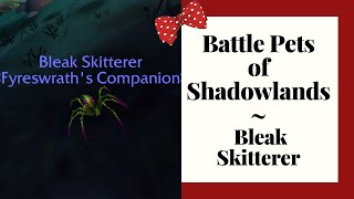 Battle Pets of Shadowlands - Bleak Skitterer