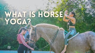 You've Heard of Goat Yoga, but Have You Heard of Horse Yoga?