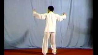 Taiji - Chen Style