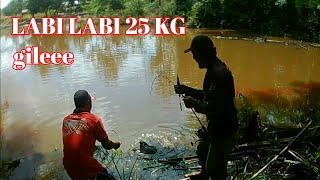 MANCING MONSTER LABI LABI 25 kg SAMPAI KUALAHAN || kir Yanto 77