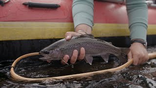 Fishing BC Presents: Dry Fly Heaven on the Blackwater River