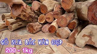 Giao Lưu Gỗ Sưa Bắc Vân Đẹp Cho Anh Em Thích Chơi Loại Bình Dân - Gỗ Từ 15 Đến 30 Năm Tuổi