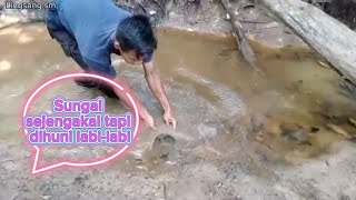 Serunya mencari labi-labi dimusim kemarau