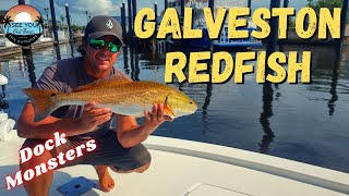 Galveston Bay Redfish bite on fire and more DOCK MONSTERS