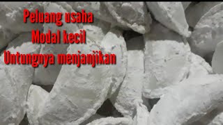 Ide usaha || Cireng Patel