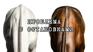 Проблема с остановками. Лошадь сопротивляется