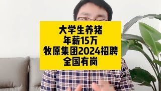 大学生养猪！年薪15万！牧原集团2024招聘，全国有岗