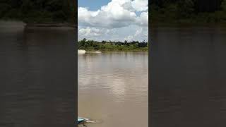 Katingan River.  Central Borneo//Sungai Katingan Kalimantan Tengah