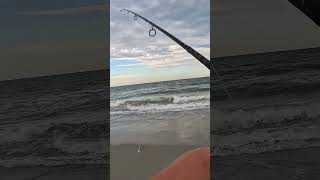 #fishing #beach #fish