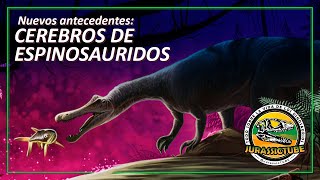 Cerebros de Espinosauridos | Jurassictube | Informe Jurásico #dinosaurios #baryonyx #ceratosuchops