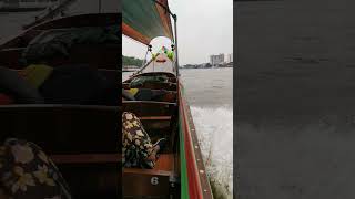 Longtail Boat Tour - Bangkok (klong)  #boat #tour #buddhism #bangkok #temple