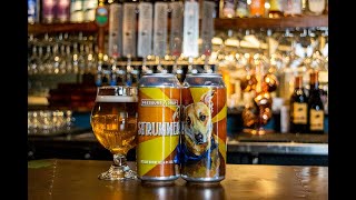 Pressure Drop Brewing | Strummer Belgian Blonde Ale