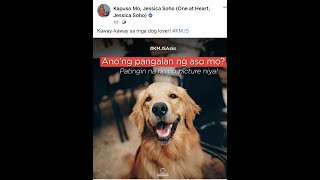 Kapuso Mo, Jessica Soho | Anong Pangalan ng Aso mo? | Dog Vlog