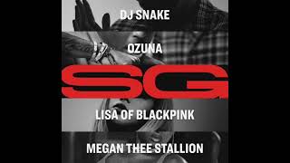 SG (Demo Version)