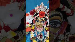 Daily Wonderful Radha Madhava Darshan #isckon #wonderful #radhakrishna #darshan #radhamadhav