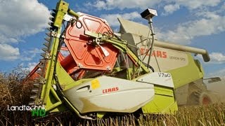 Raps dreschen mit Claas Lexion 570 + V750 [HD]