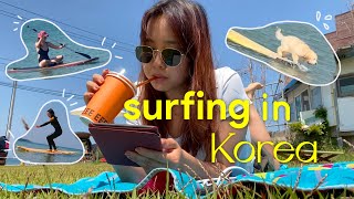 my weekend surfing in korea went a little like this...