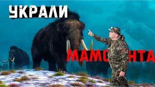 НАШЛИ МАМОНТА В ОВРАГЕ