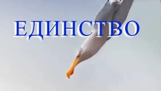 Единство