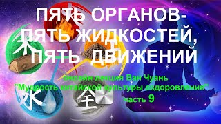 9.  Пять органов- пять жидкостей ,пять движений