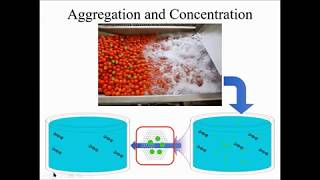 How eDNA can be used to detect invasive species in terrestrial environments