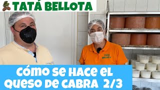 34. Cómo se hace el queso de leche de cabra en la quesería Picurriellu (Asturias) Episiodio 2