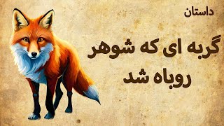 داستان گربه ای که شوهر روباه شد | قصه ای از کلیله و دمنه