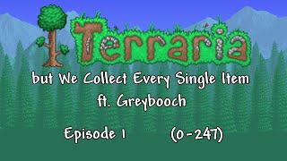 Terraria, but We Collect Every Single Item (ft. @greybooch) | Episode 1 (0-247)