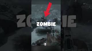 Did You Know This Fact In CoD Zombies?