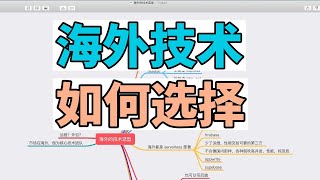 海外技术如何选型，有合作机会找我