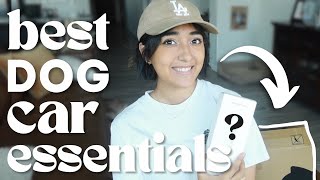 5 STAR CAR GADGETS FOR YOUR DOGS | August Favorites 2024