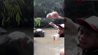 Pokok nya Sungai Kalau Jarang Di setrum Pasti Banyak Ikan nya #shorts