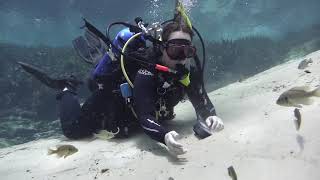 women scuba diving