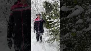 Clearing the rare tree of snow to prevent it from breaking