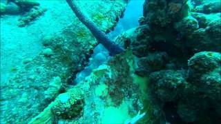 Helma Hooker Wreck Dive - Bonaire