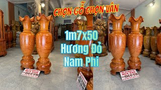 Lục Bình 1m7x50 Hương Đỏ Nam Phi Chọn Vân Vip