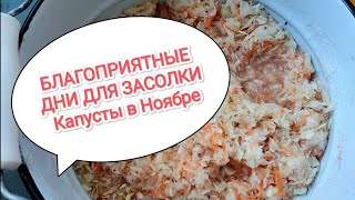 БЛАГОПРИЯТНЫЕ ДНИ для Засолки Капусты в Ноябре!