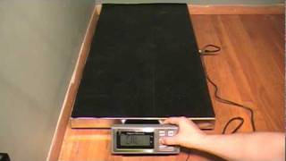 Calibration LVS Vet Amston Scales