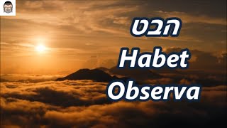 Habet - Observa - Mordechai Ben David