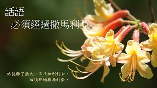 靈修:話語-必須經過撒馬利亞 20240916