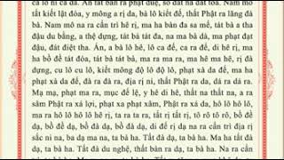 Đại Bi Tâm Đà La Ni (大悲咒 - The Great Compassion Mantra - Nīlakaṇṭha Dhāraṇī)