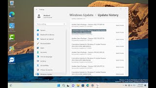 Cumulative Update for Windows 11 Insider Preview (10.0.25163.1010) (KB5016904)